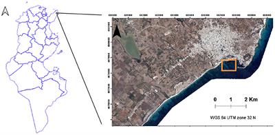 Studying Sharp Changes of Urban Landscape: Concession Within Agricultural, Hydraulic, and Maritime Public Domain in Kelibia City, Northern Tunisia